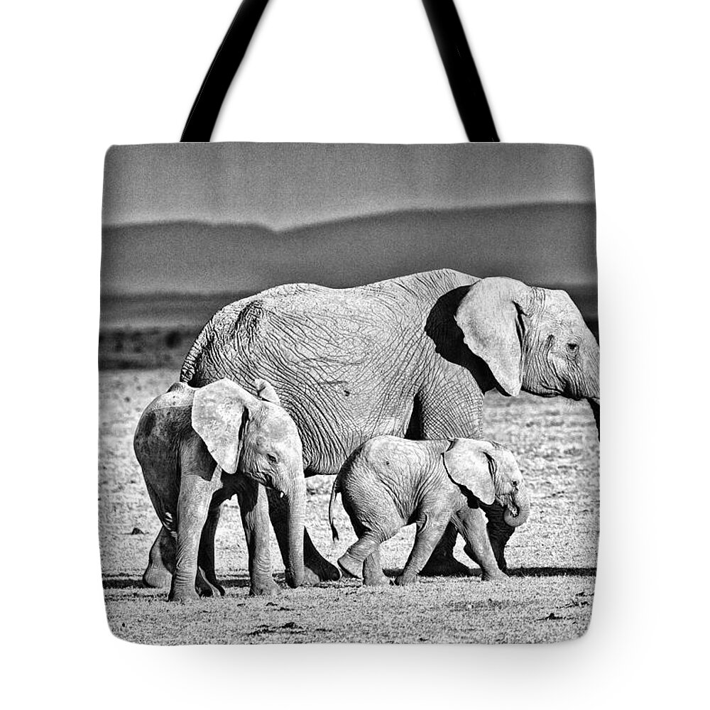 Africa Tote Bag featuring the photograph African Elephant in the Masai Mara #2 by Perla Copernik