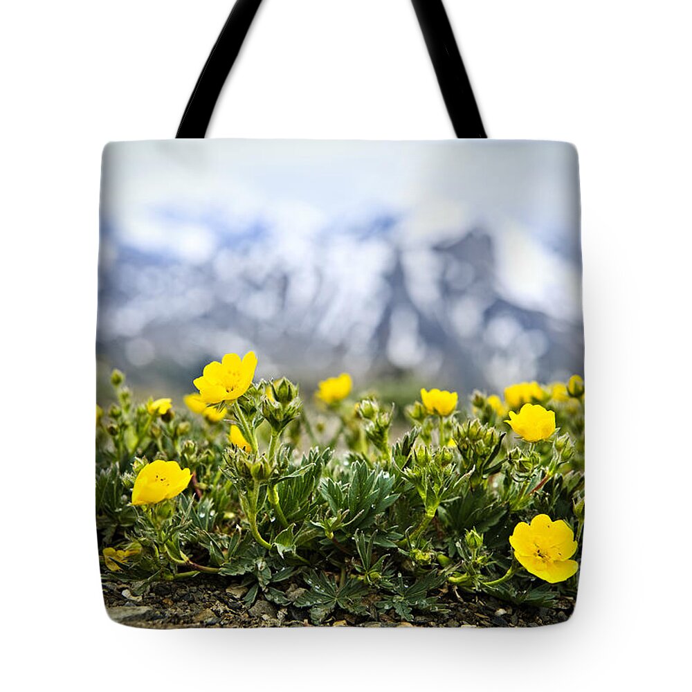 Alpine Tote Bag featuring the photograph Alpine meadow in Jasper National Park 4 by Elena Elisseeva