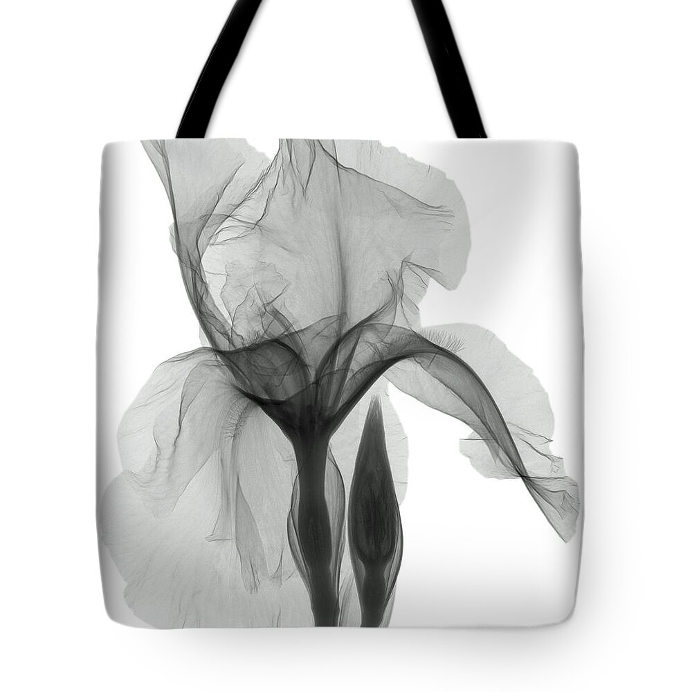 Xray Tote Bag featuring the photograph An X-ray Of An Iris Flower by Ted Kinsman