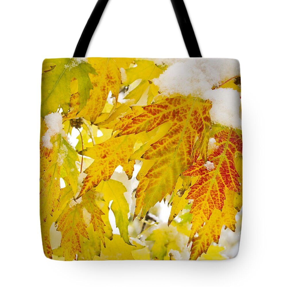 Snow Tote Bag featuring the photograph Autumn Snow #1 by James BO Insogna