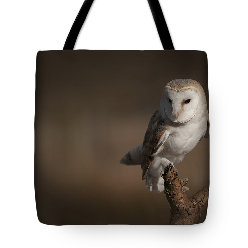 Barn Owl Tote Bag featuring the photograph Barn Owl #1 by Andy Astbury