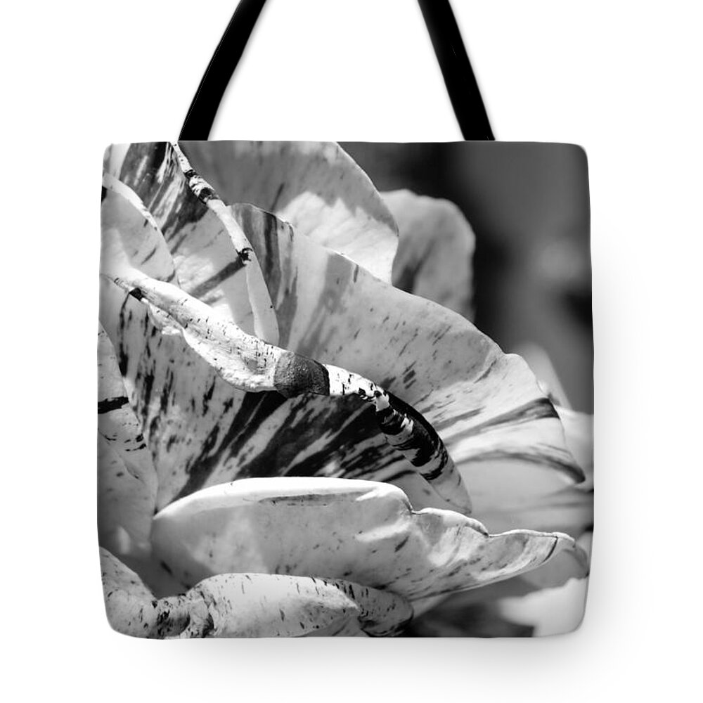 Rose Tote Bag featuring the photograph Black and White Stripe Rose #1 by Amy Fose