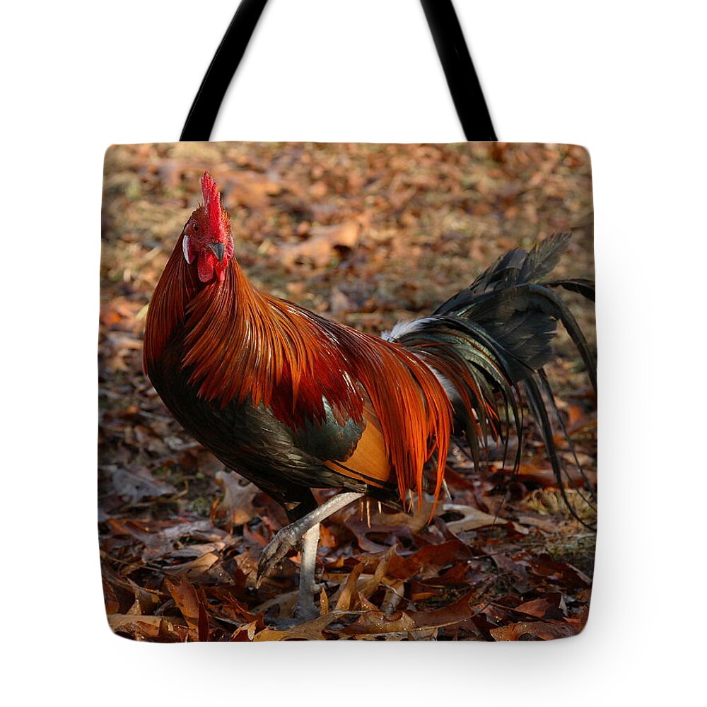 Chicken Tote Bag featuring the photograph Black Breasted Red Phoenix Rooster by Michael Dougherty