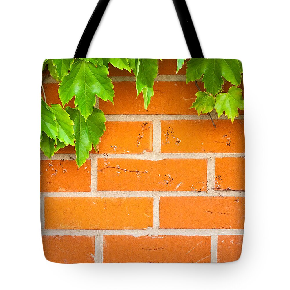 Ancient Tote Bag featuring the photograph Brick wall #1 by Tom Gowanlock