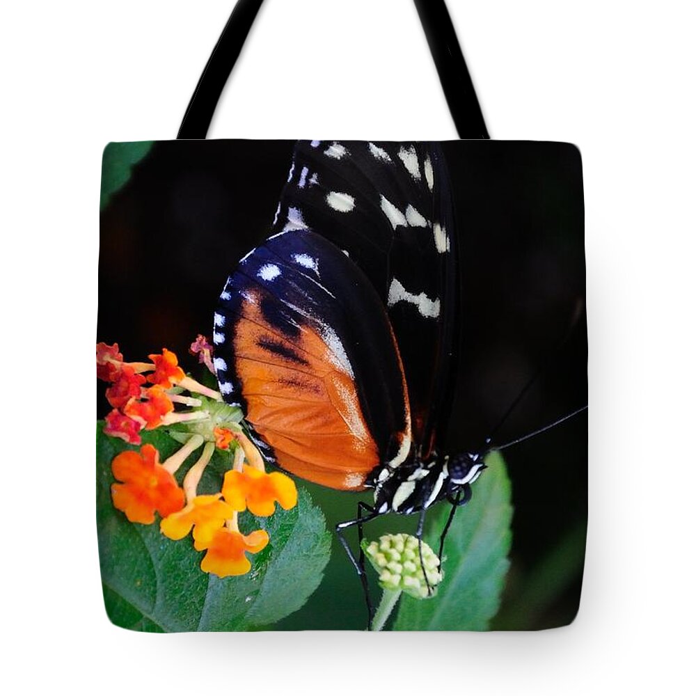  Tote Bag featuring the photograph Butterfly with Mini Flowers by Mark Valentine
