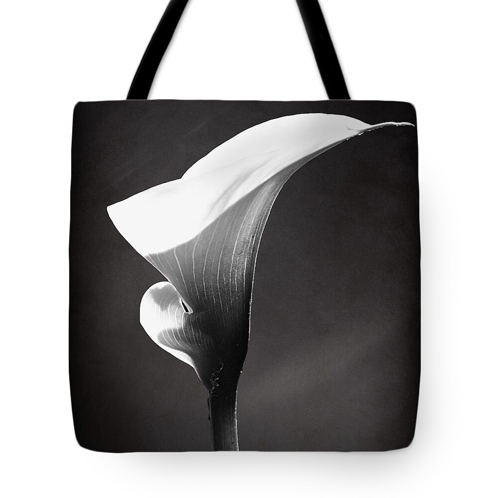White Calla Lily Tote Bag featuring the photograph Calla Lily the magnificent beauty by Danuta Bennett