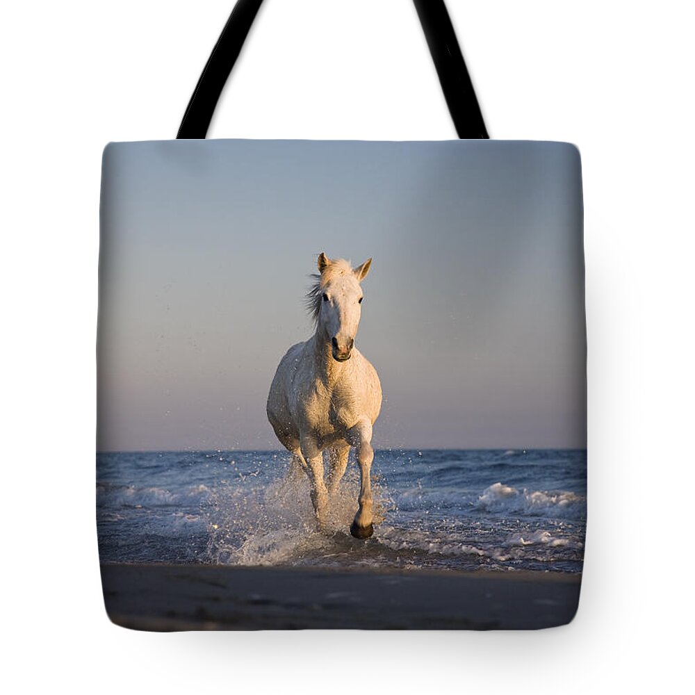 Mp Tote Bag featuring the photograph Camargue Horse Equus Caballus Running #1 by Konrad Wothe