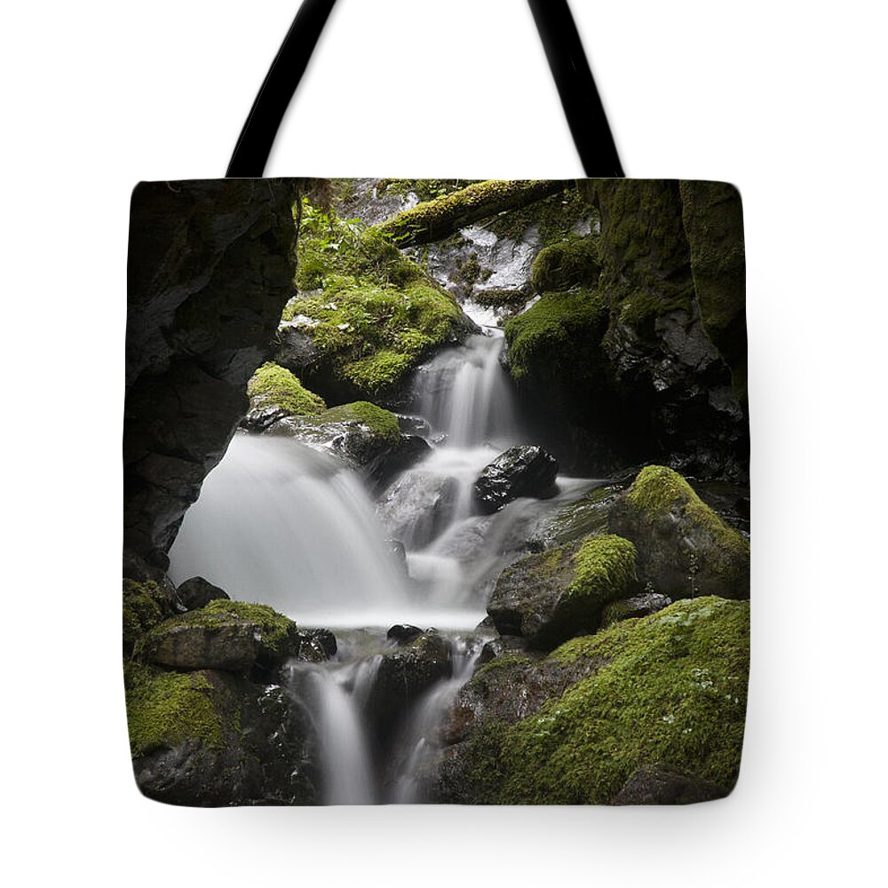 Mp Tote Bag featuring the photograph Cascading Creek In Temperate Rainforest #1 by Matthias Breiter