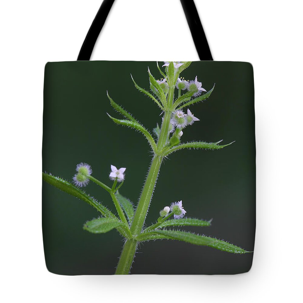 Cleavers Tote Bag featuring the photograph Cleavers by Daniel Reed