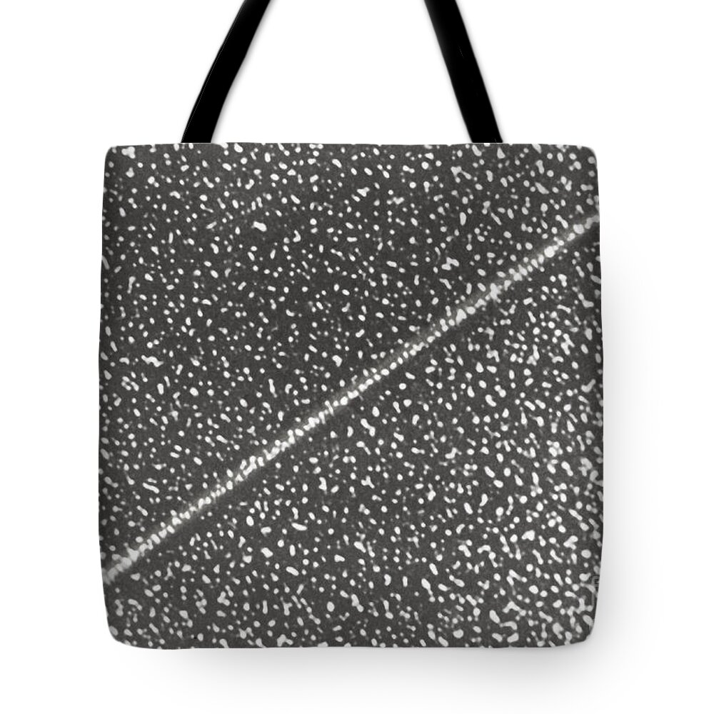 Dna Tote Bag featuring the photograph Dna #1 by Science Source