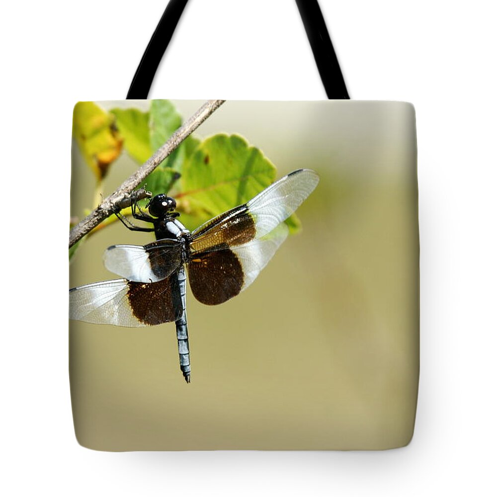 Dragonfly Tote Bag featuring the photograph Dragonfly #1 by Alan Hutchins