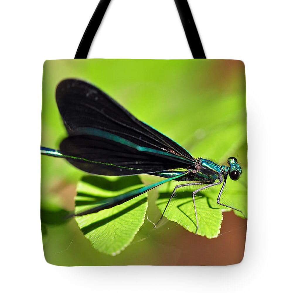 Dragonfly Tote Bag featuring the photograph Dragonfly #1 by Glenn Gordon