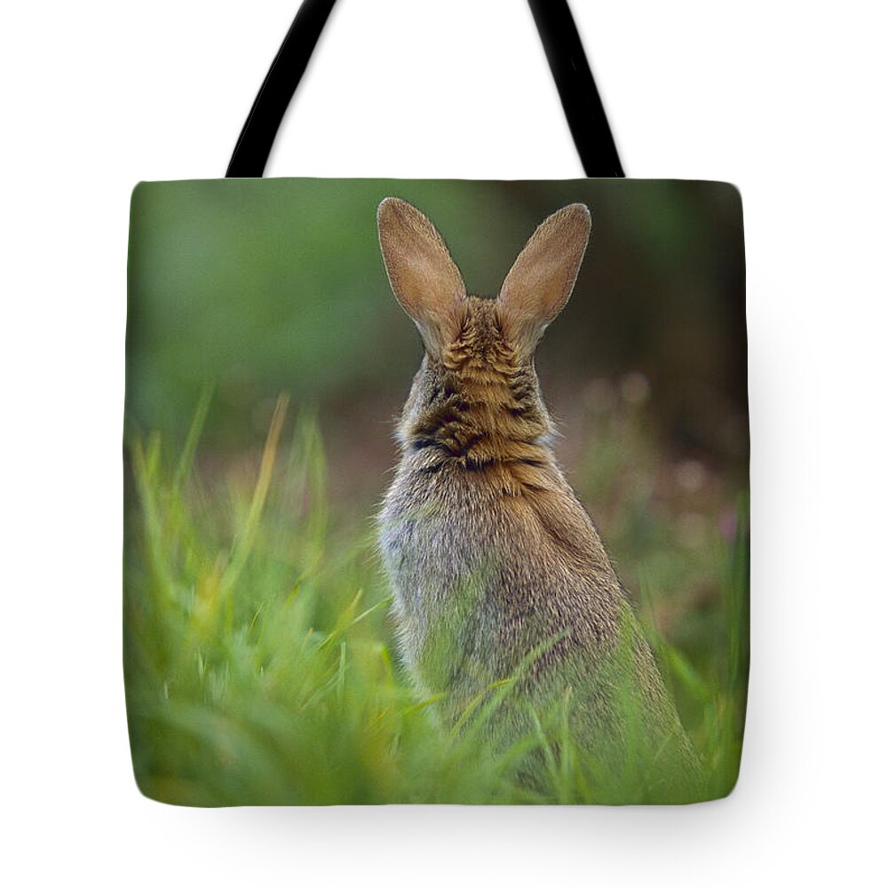 Mp Tote Bag featuring the photograph European Rabbit Oryctolagus Cuniculus #1 by Cyril Ruoso