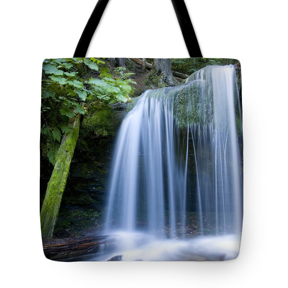 Fern Falls Tote Bag featuring the photograph Fern Falls #1 by Idaho Scenic Images Linda Lantzy