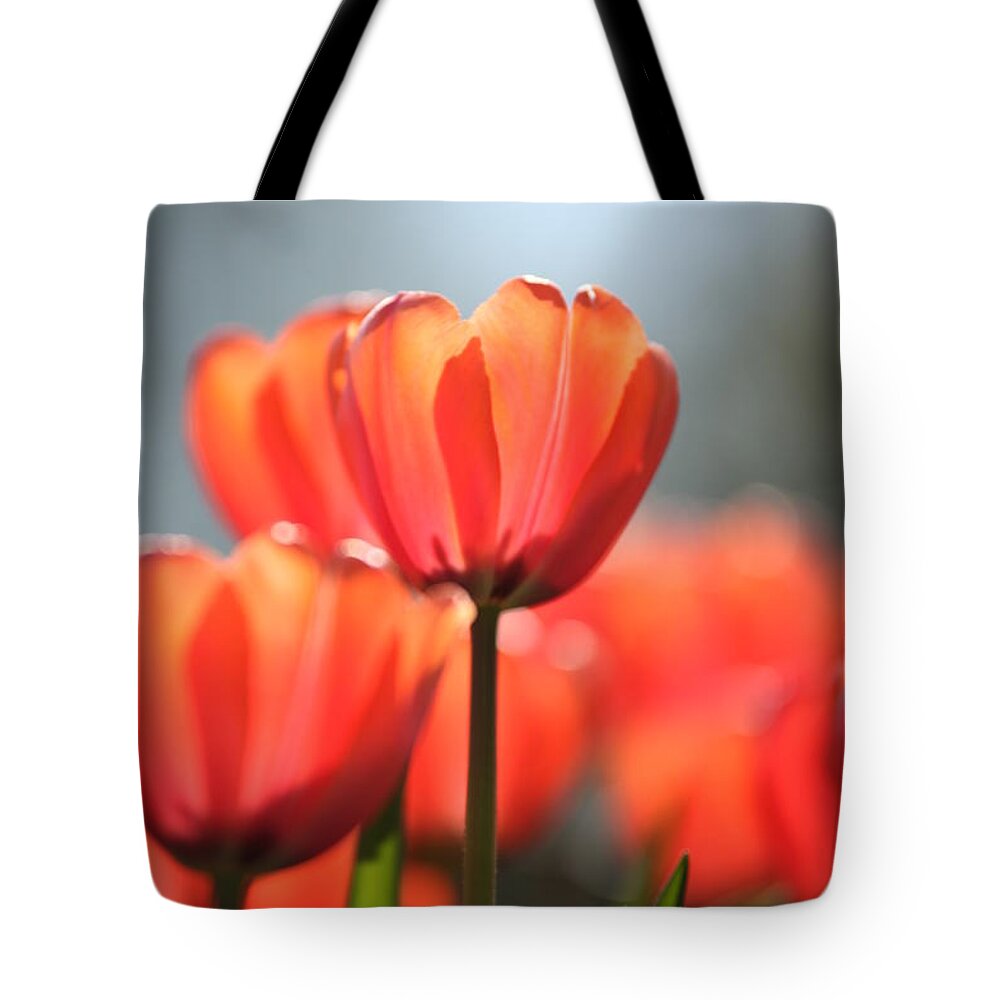 Flower Tote Bag featuring the photograph Floral 34 #1 by Carol Ann Thomas