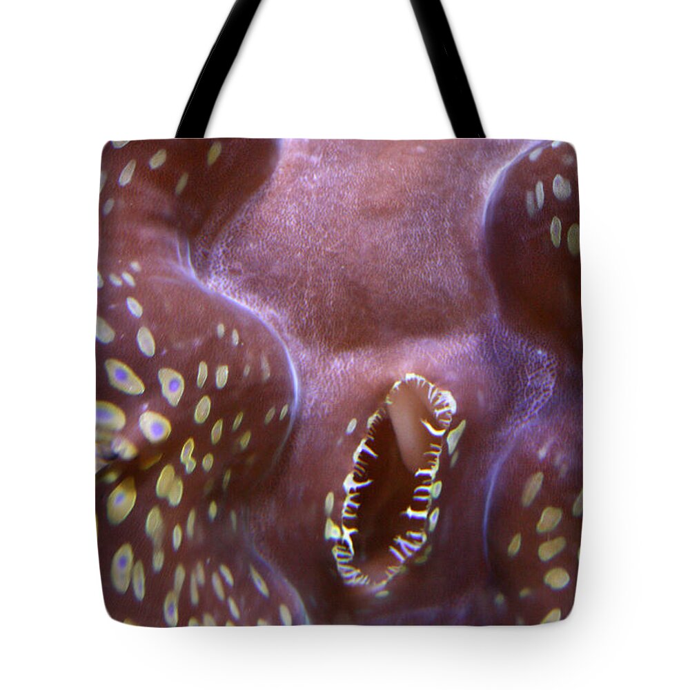 Waikiki Aquarium Tote Bag featuring the photograph Giant Clam in Pink with Yellow Spots #1 by Jennifer Bright Burr