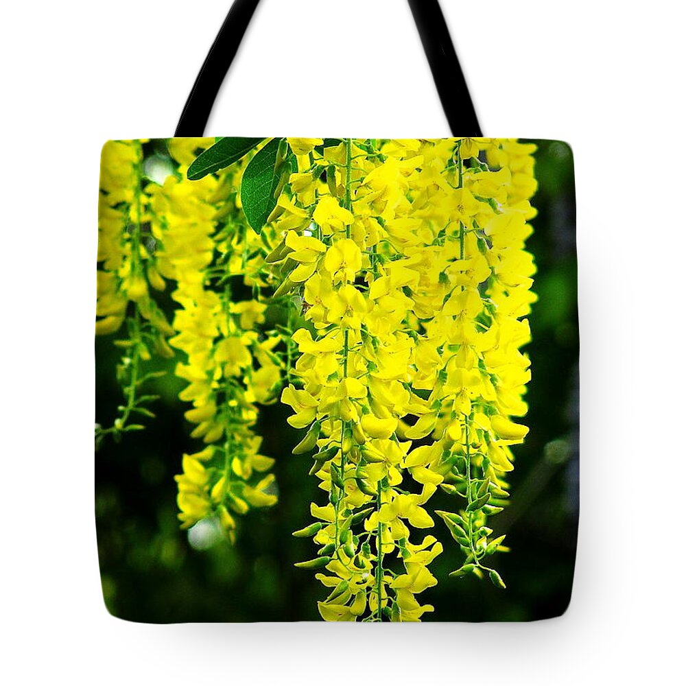 Yellow Tote Bag featuring the photograph Golden Chain Tree by Jeff Heimlich