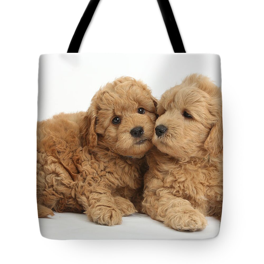Nature Tote Bag featuring the photograph Goldendoodle Puppies #1 by Mark Taylor