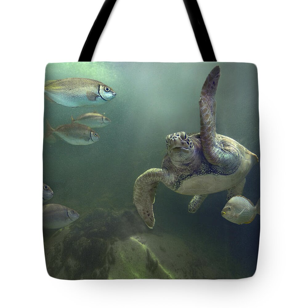 Mp Tote Bag featuring the photograph Green Sea Turtle Chelonia Mydas #1 by Tim Fitzharris