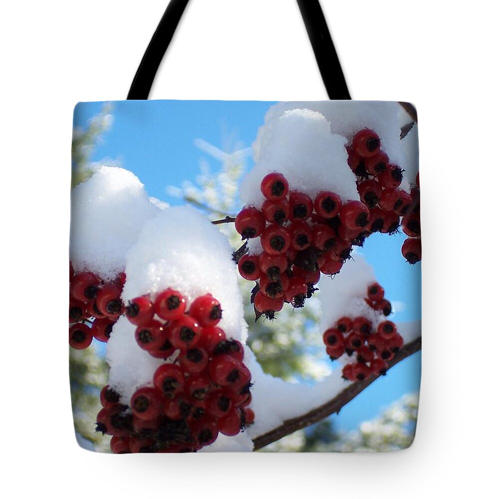 Washington Tote Bag featuring the photograph Hawthorn Berries in the Snow #1 by Peter Mooyman