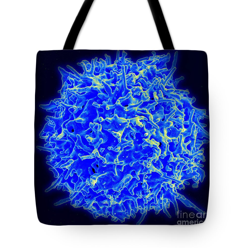 Biology Tote Bag featuring the photograph Healthy Human T Cell, Sem by Science Source