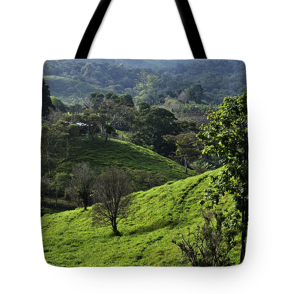 Nature Tote Bag featuring the photograph Hillside in Chiriqui #1 by Heiko Koehrer-Wagner