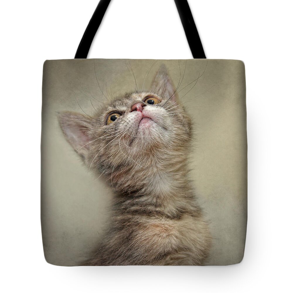 Kittens Tote Bag featuring the photograph I Smell Tuna by Pat Abbott