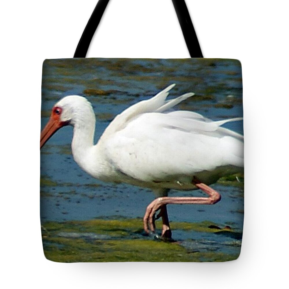 Ibis Tote Bag featuring the photograph Ibis 2 #1 by Joe Faherty