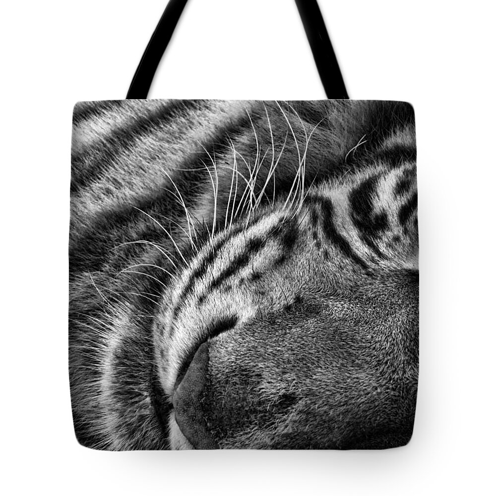 White Tiger Tote Bag featuring the photograph India #1 by Shari Jardina