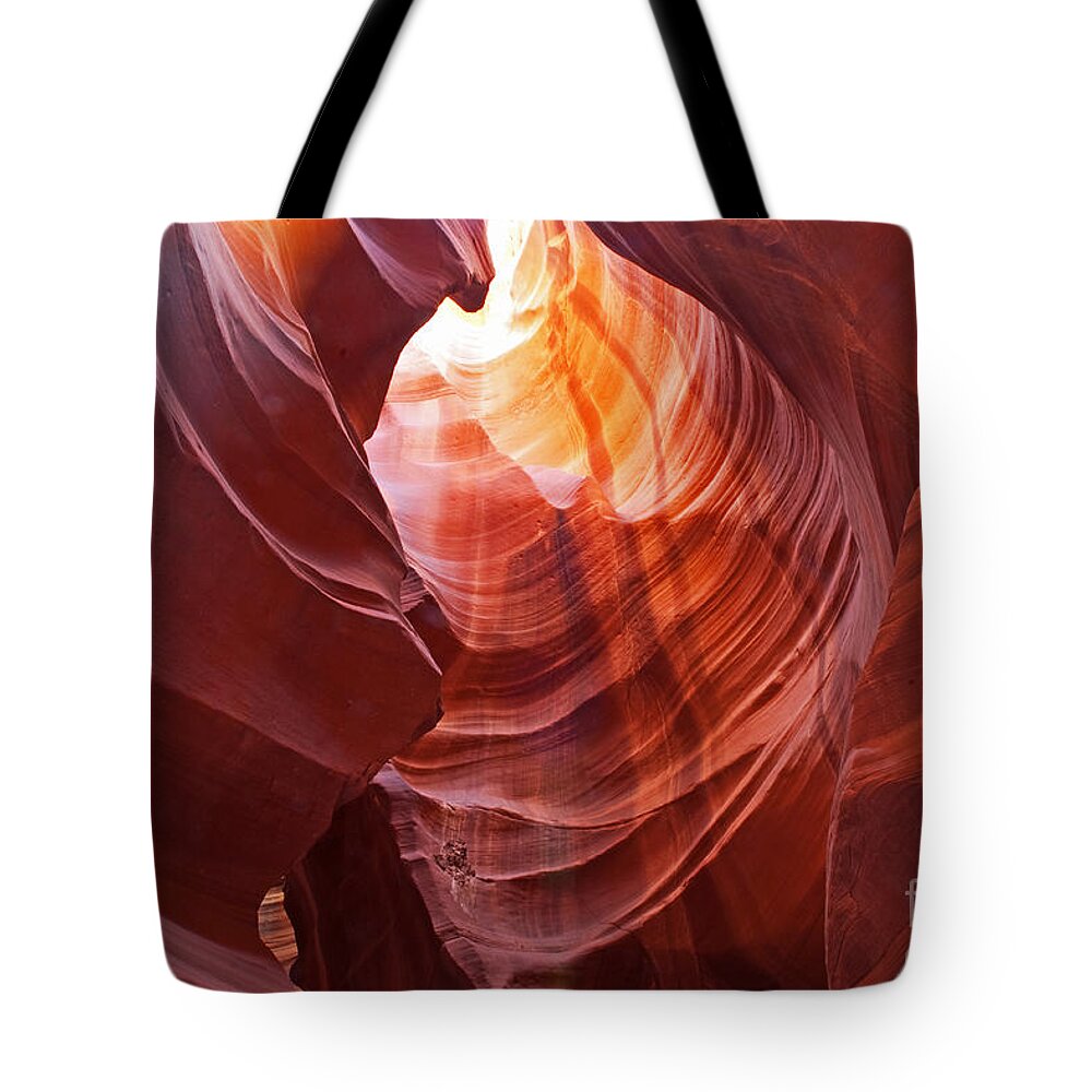 Arizona Tote Bag featuring the photograph Looking Up #1 by Bob and Nancy Kendrick