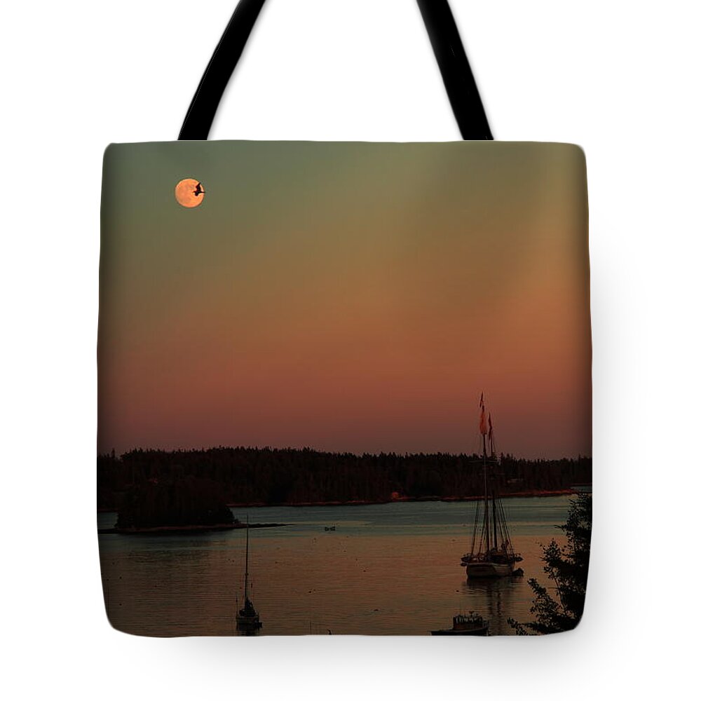 Seascape Tote Bag featuring the photograph Moonlight Flight #1 by Doug Mills