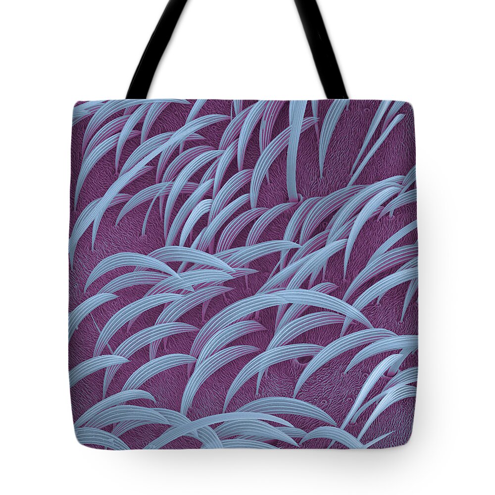 Mosquito Tote Bag featuring the photograph Mosquito Scales #1 by Ted Kinsman