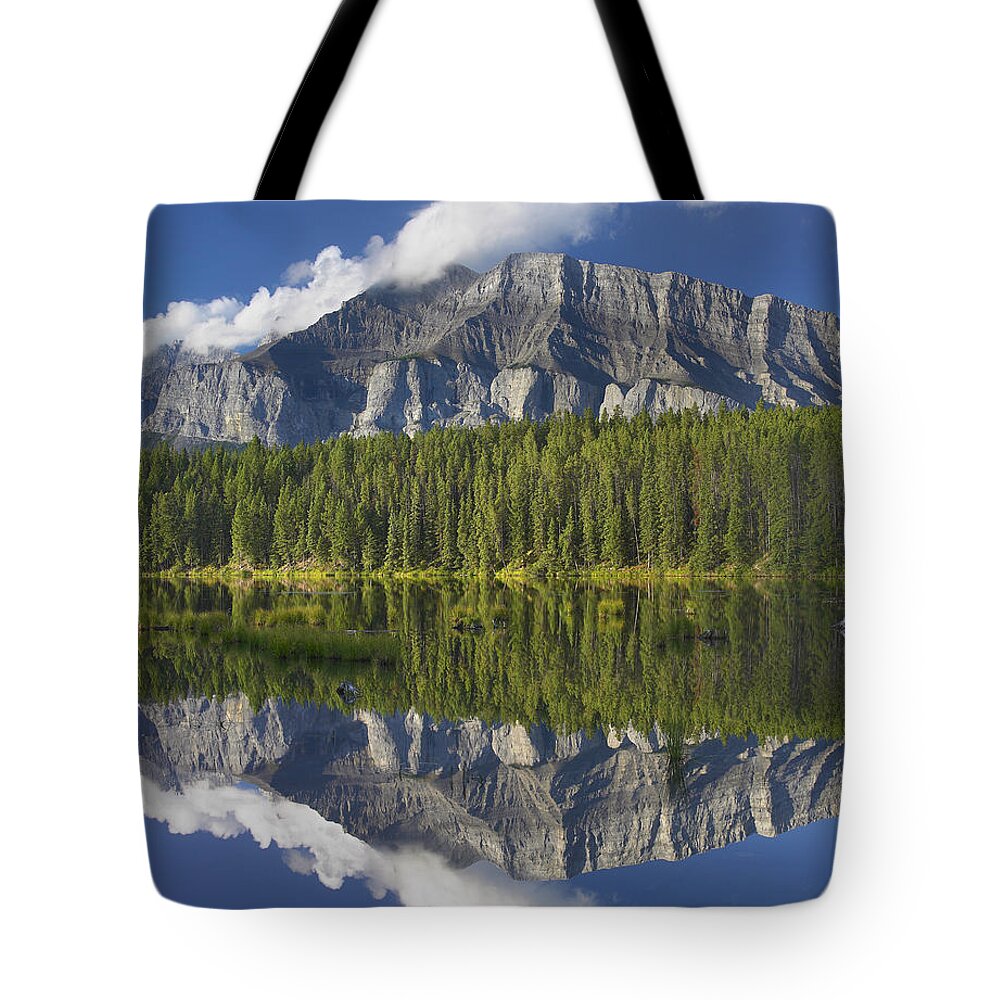 00176104 Tote Bag featuring the photograph Mount Rundle And Boreal Forest #1 by Tim Fitzharris