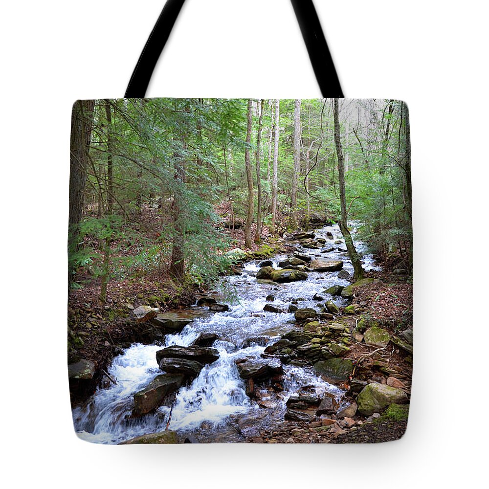 Mountain Stream Tote Bag featuring the photograph Mountain Stream #1 by Paul Mashburn