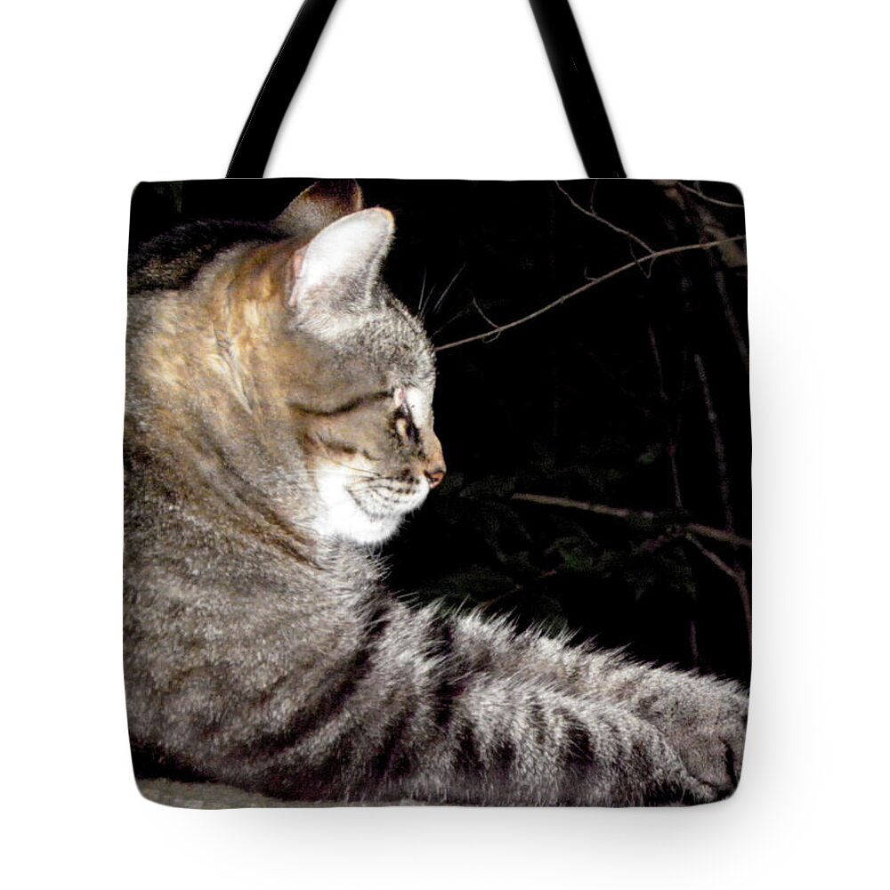 Cat Tote Bag featuring the photograph My Rock #1 by Kim Galluzzo
