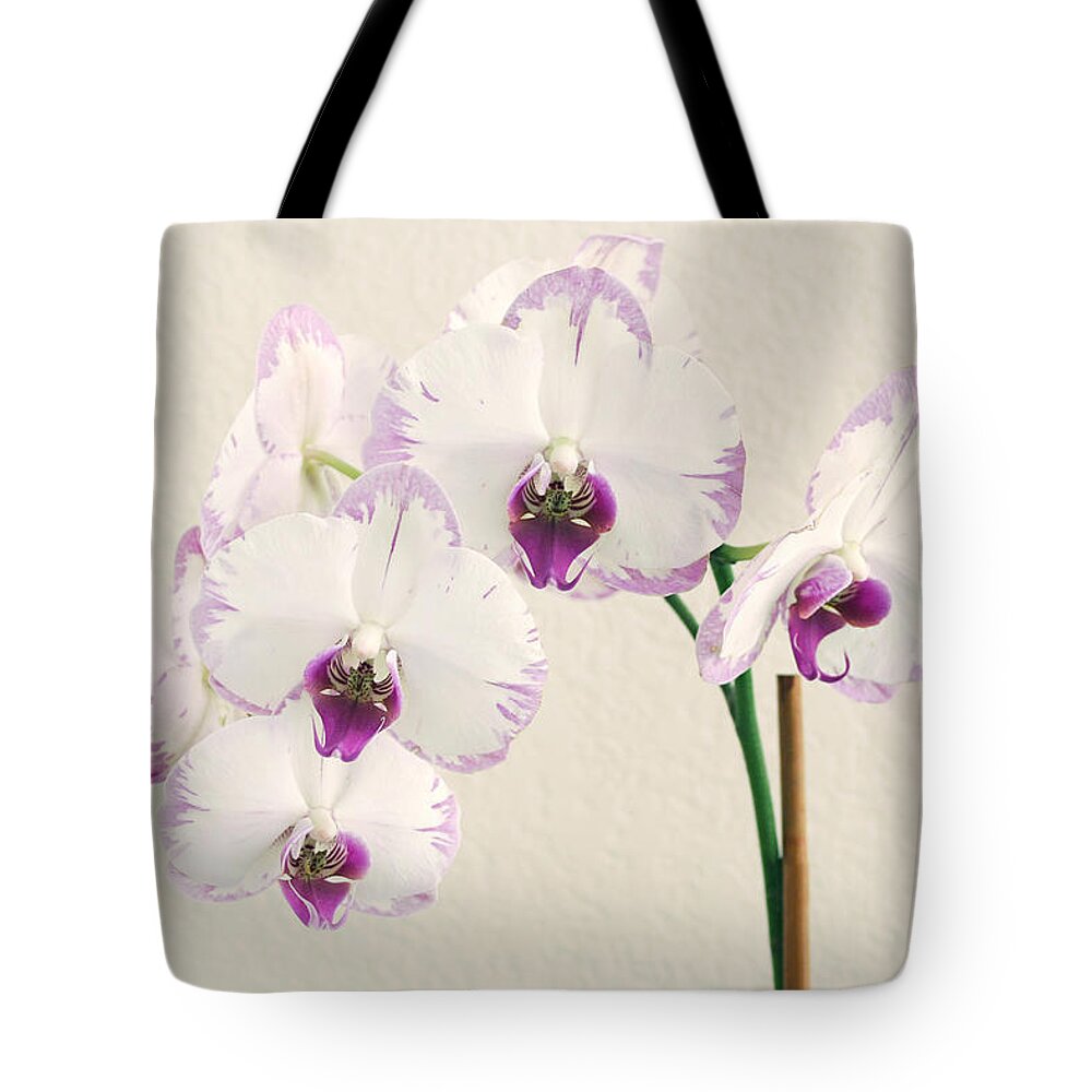 Flower Tote Bag featuring the photograph Orchid #1 by Masha Batkova