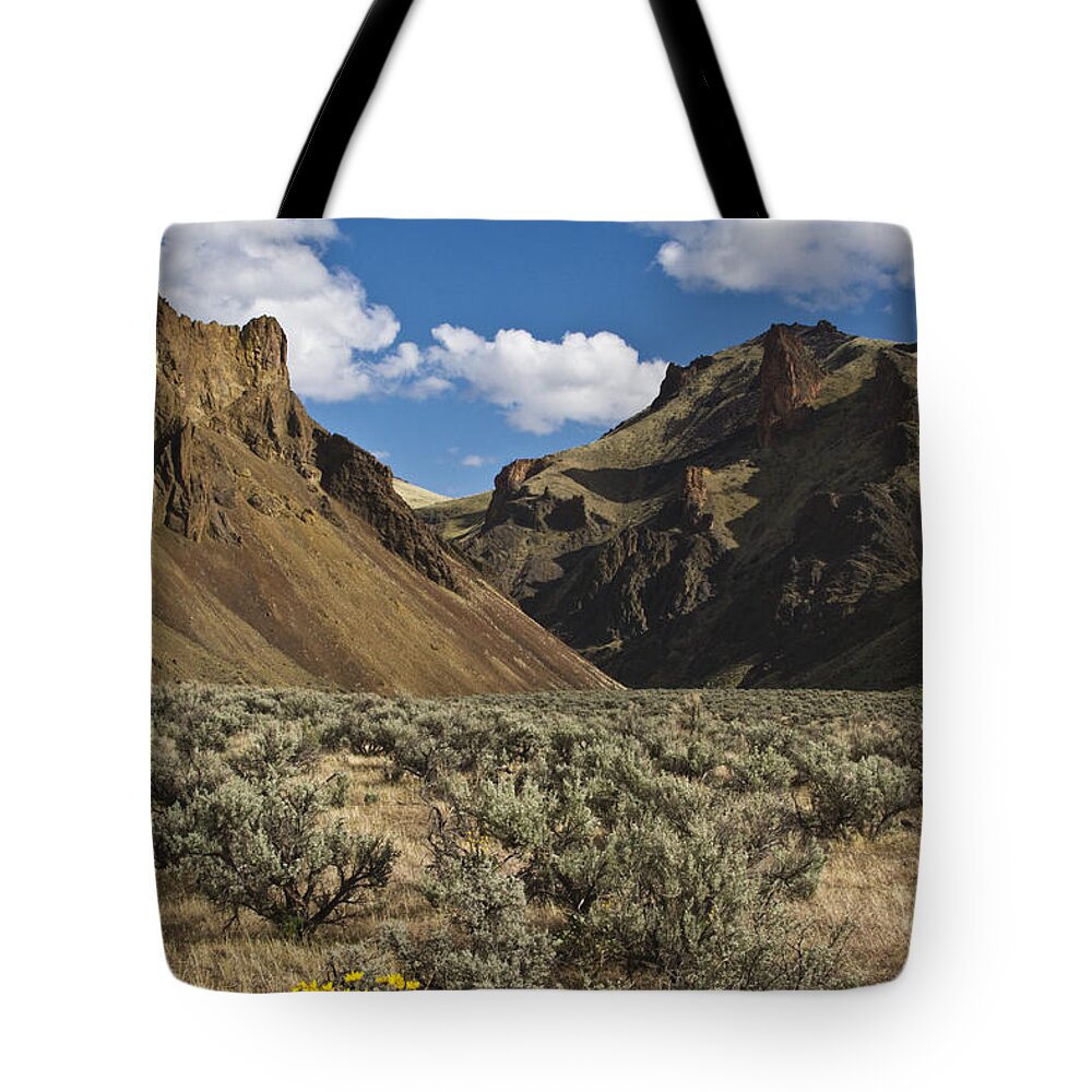 Craig Lovell Tote Bag featuring the photograph Oregon-d492 #1 by Craig Lovell