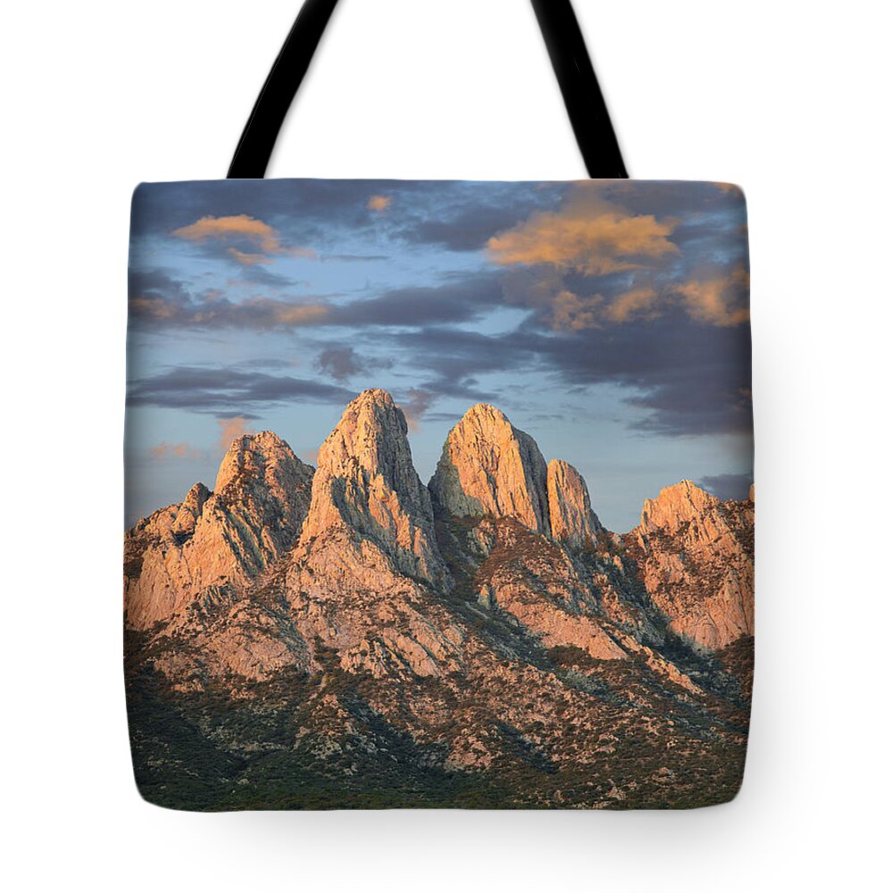00438928 Tote Bag featuring the photograph Organ Mountains Near Las Cruces New by Tim Fitzharris