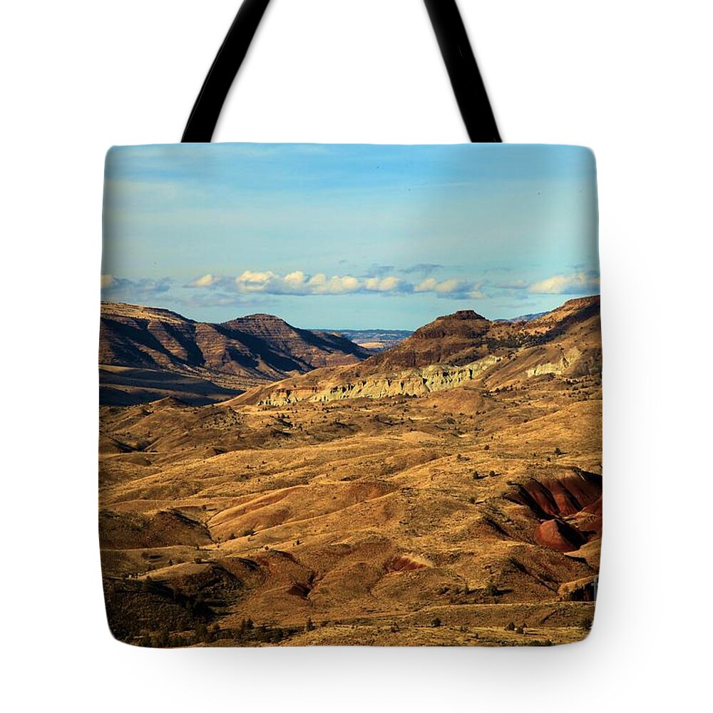 John Day Fossil Beds National Monument Tote Bag featuring the photograph Painted Landscape #1 by Adam Jewell