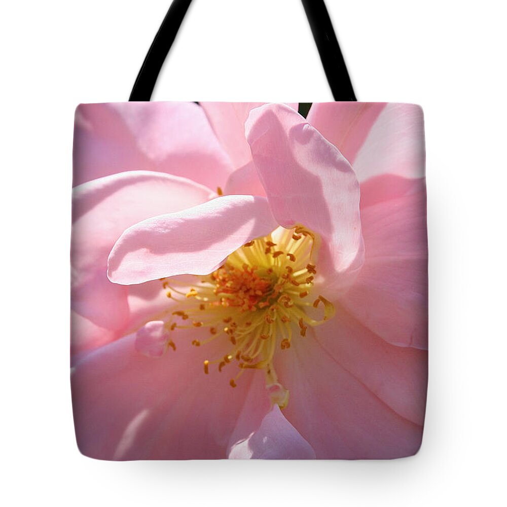 Outdoors Tote Bag featuring the photograph Pastel Petals #1 by Susan Herber