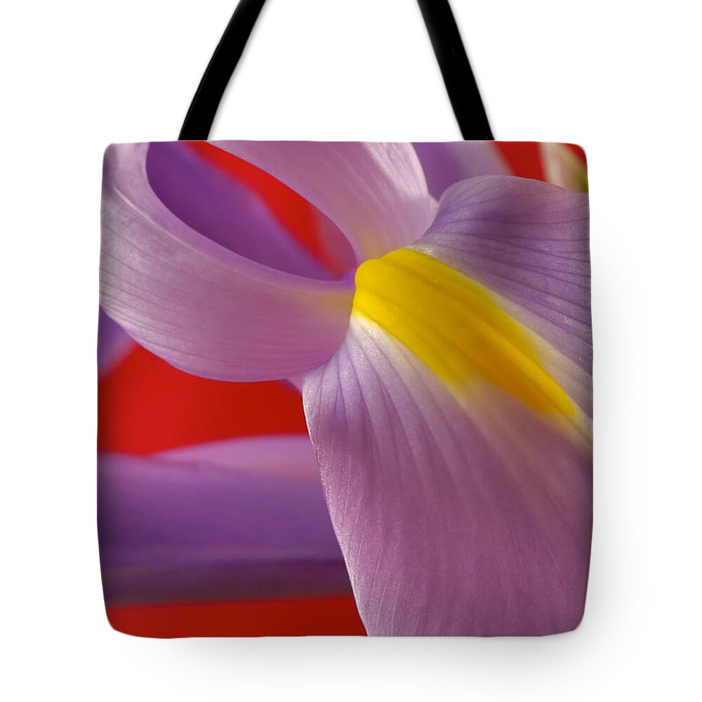 Flowers Tote Bag featuring the photograph Photograph of a Dutch Iris #2 by Perla Copernik