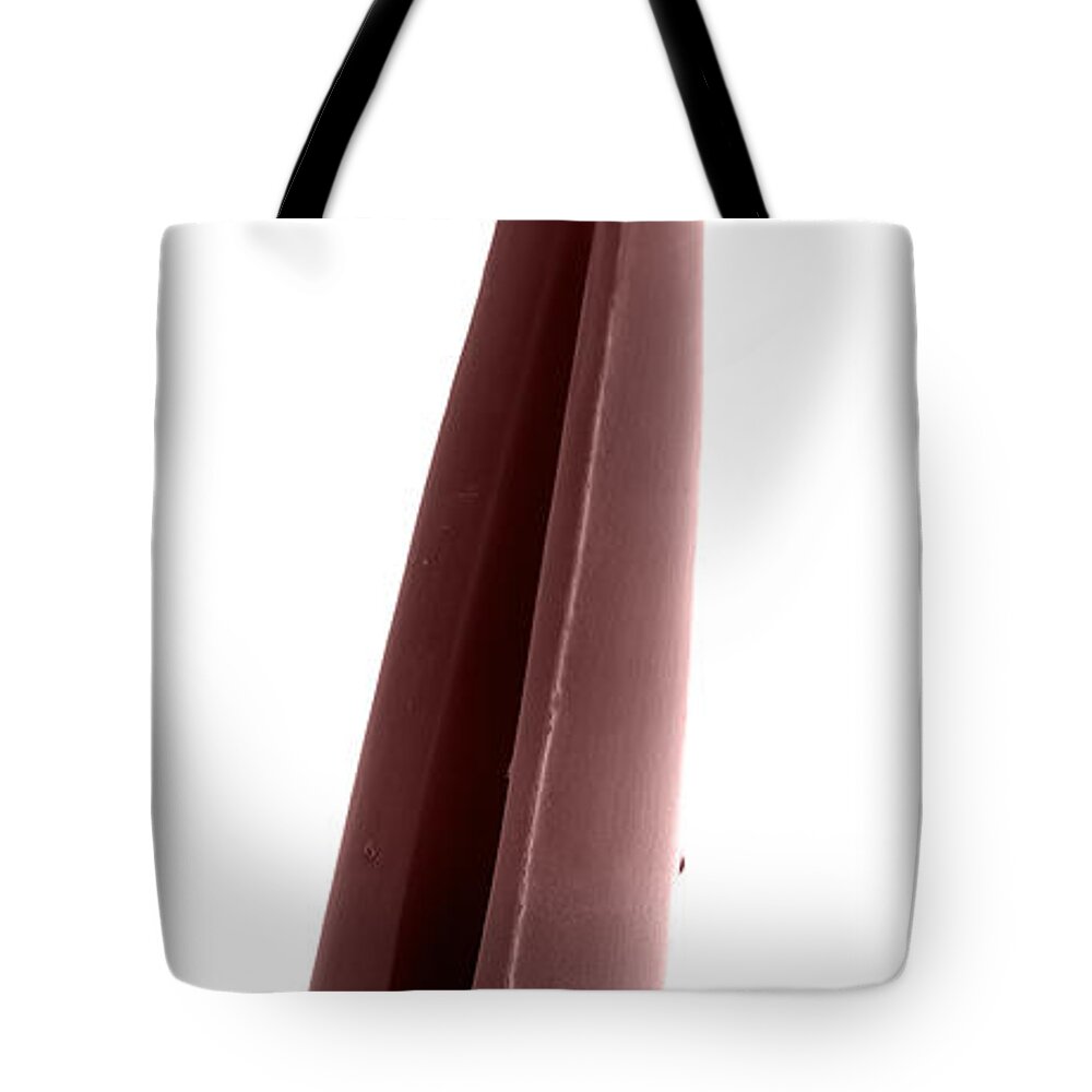 Sem Tote Bag featuring the photograph Rattlesnake Fang, Sem #1 by Ted Kinsman