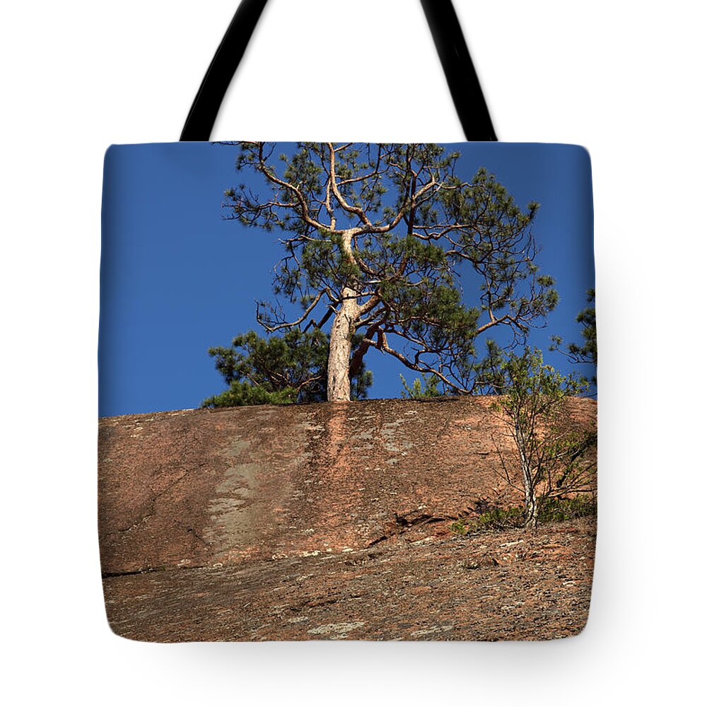 Granite Bedrock Tote Bag featuring the photograph Red Pine Tree #1 by Ted Kinsman