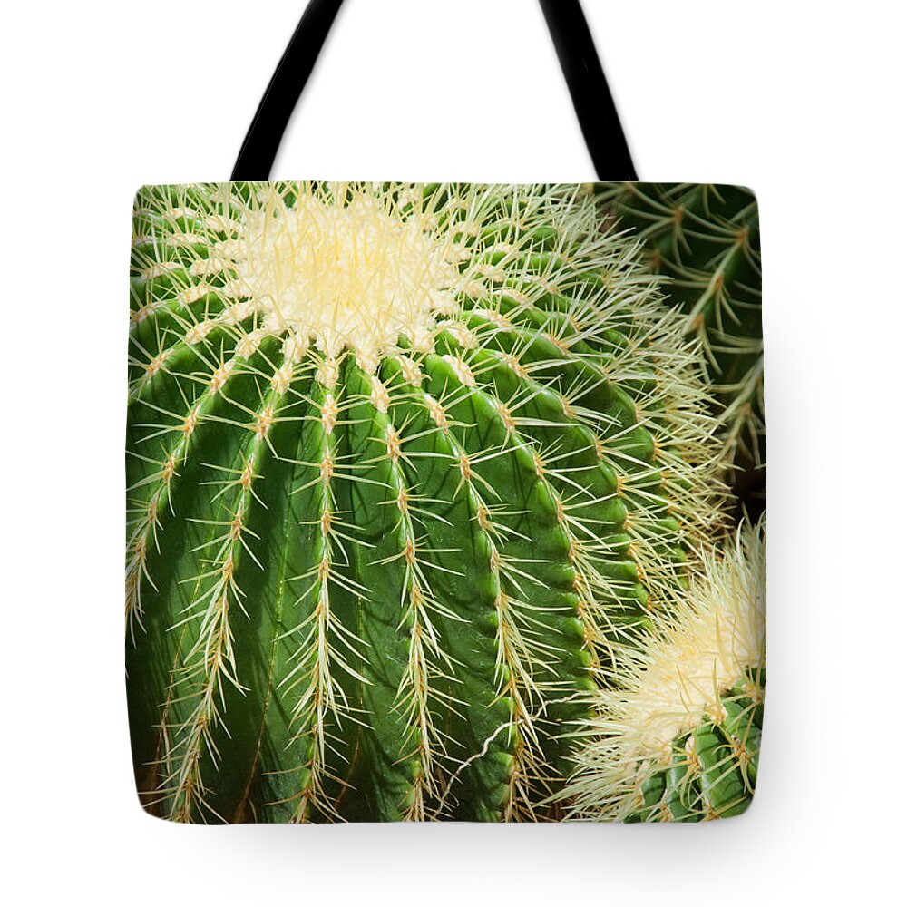 Cactus Tote Bag featuring the photograph Round Cactus #1 by Dejan Jovanovic