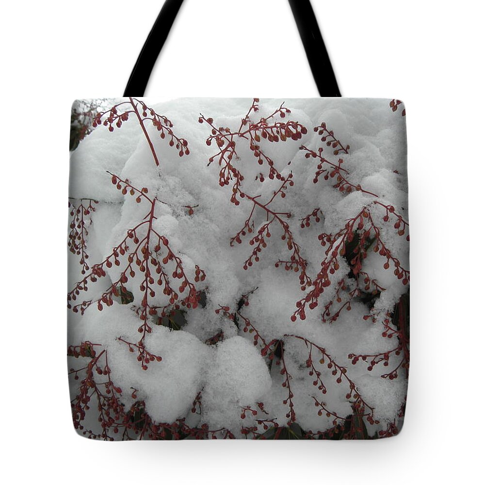Snow Tote Bag featuring the photograph Snow Covered by Kim Galluzzo Wozniak