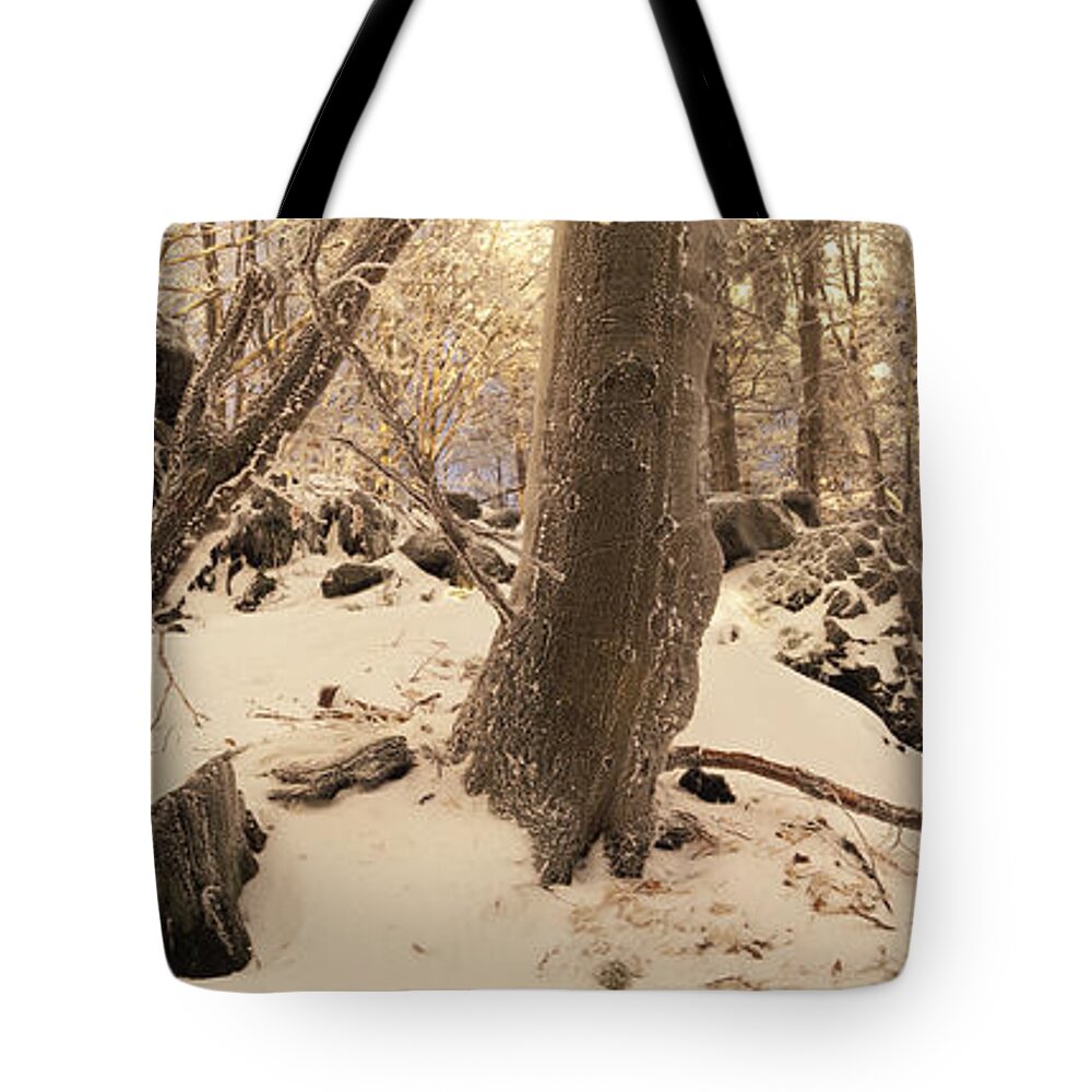 Plants Tote Bag featuring the photograph Snowy forest by Ulrich Kunst And Bettina Scheidulin