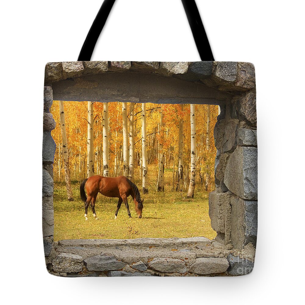 Horse Tote Bag featuring the photograph Stone Window View and Beautiful Horse #1 by James BO Insogna