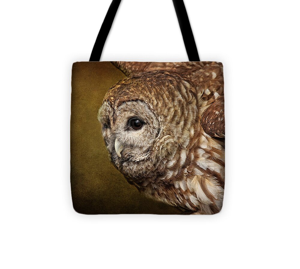 Owls Tote Bag featuring the photograph Vilma by Pat Abbott