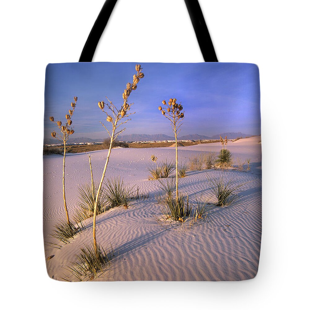 00176857 Tote Bag featuring the photograph White Sands National Monument New Mexico #1 by Tim Fitzharris