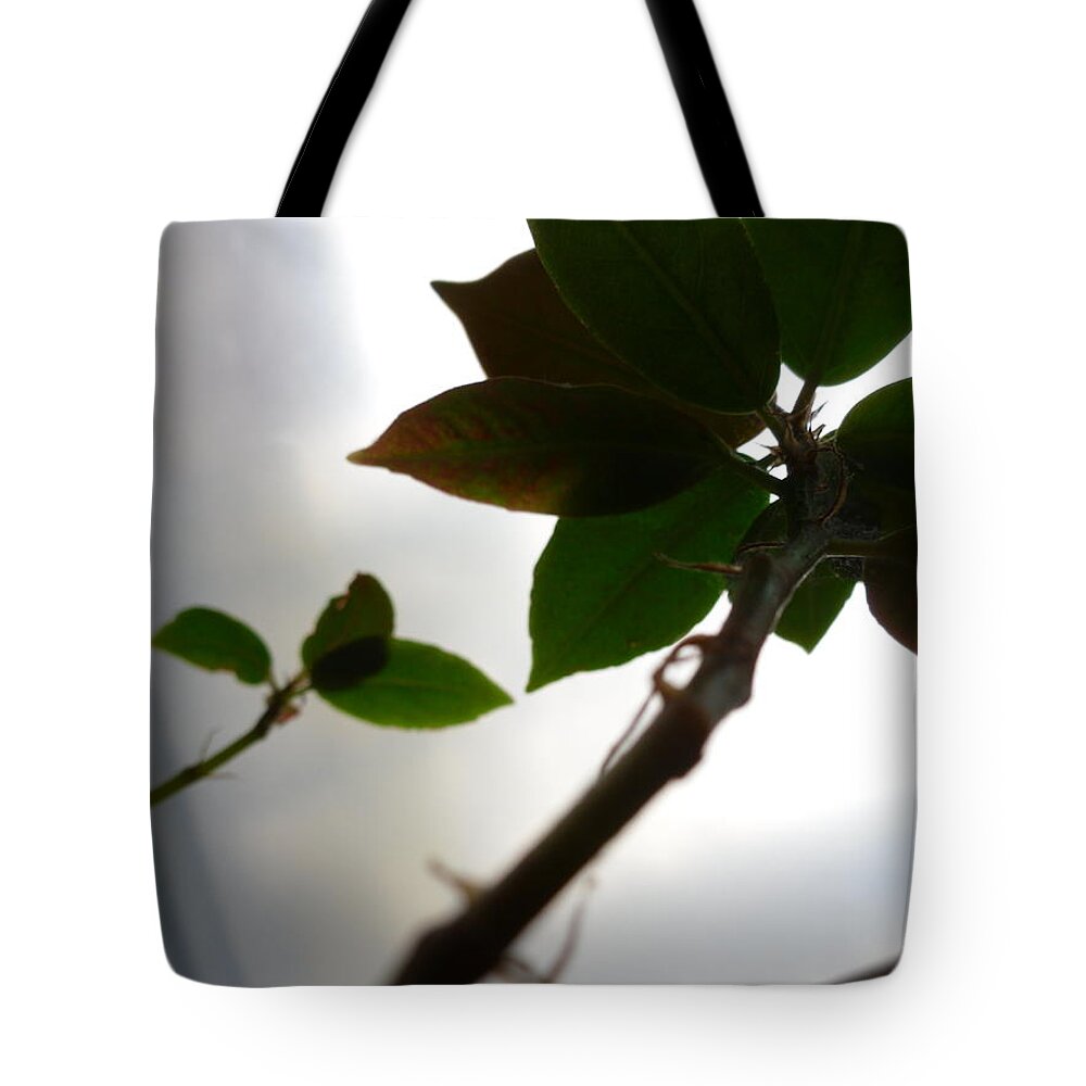 Tote Bag featuring the photograph My room up close 1 #11 by Myron Belfast